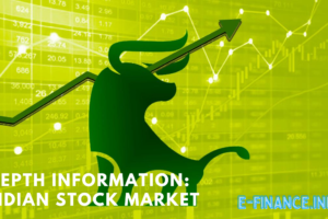 Depth Information: Indian stock market